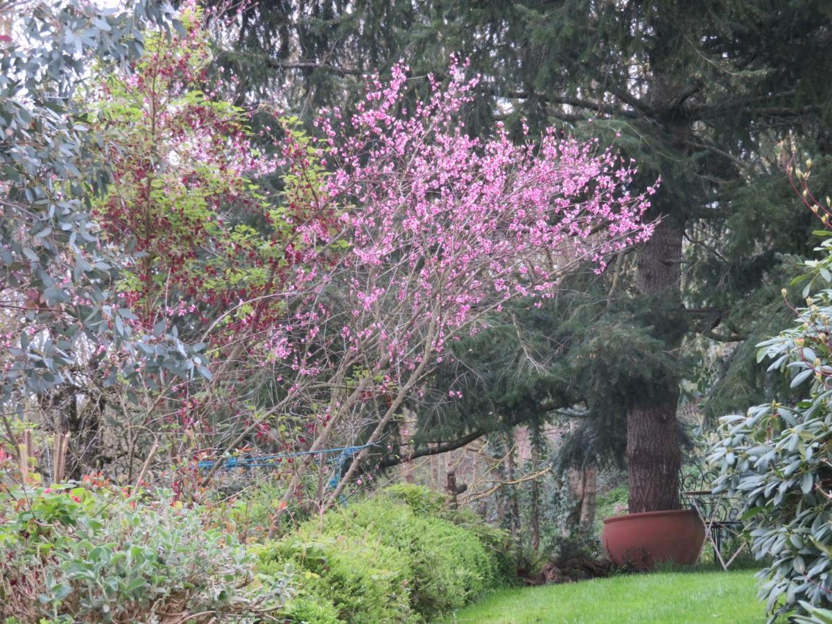 Ecrin De Verdure
