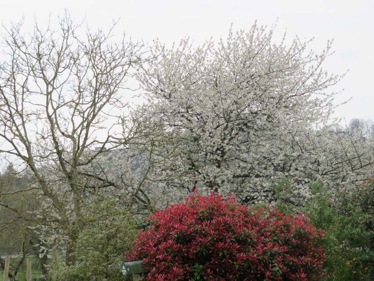Gasthuis Ecrin De Verdure *