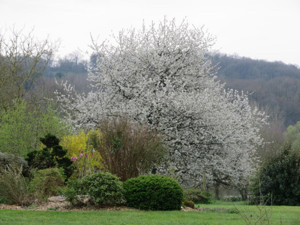 Ecrin De Verdure Gasthuis *